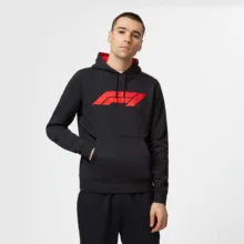 هودی فرمول 1 F1 FW LARGE LOGO HOODED SWEAT