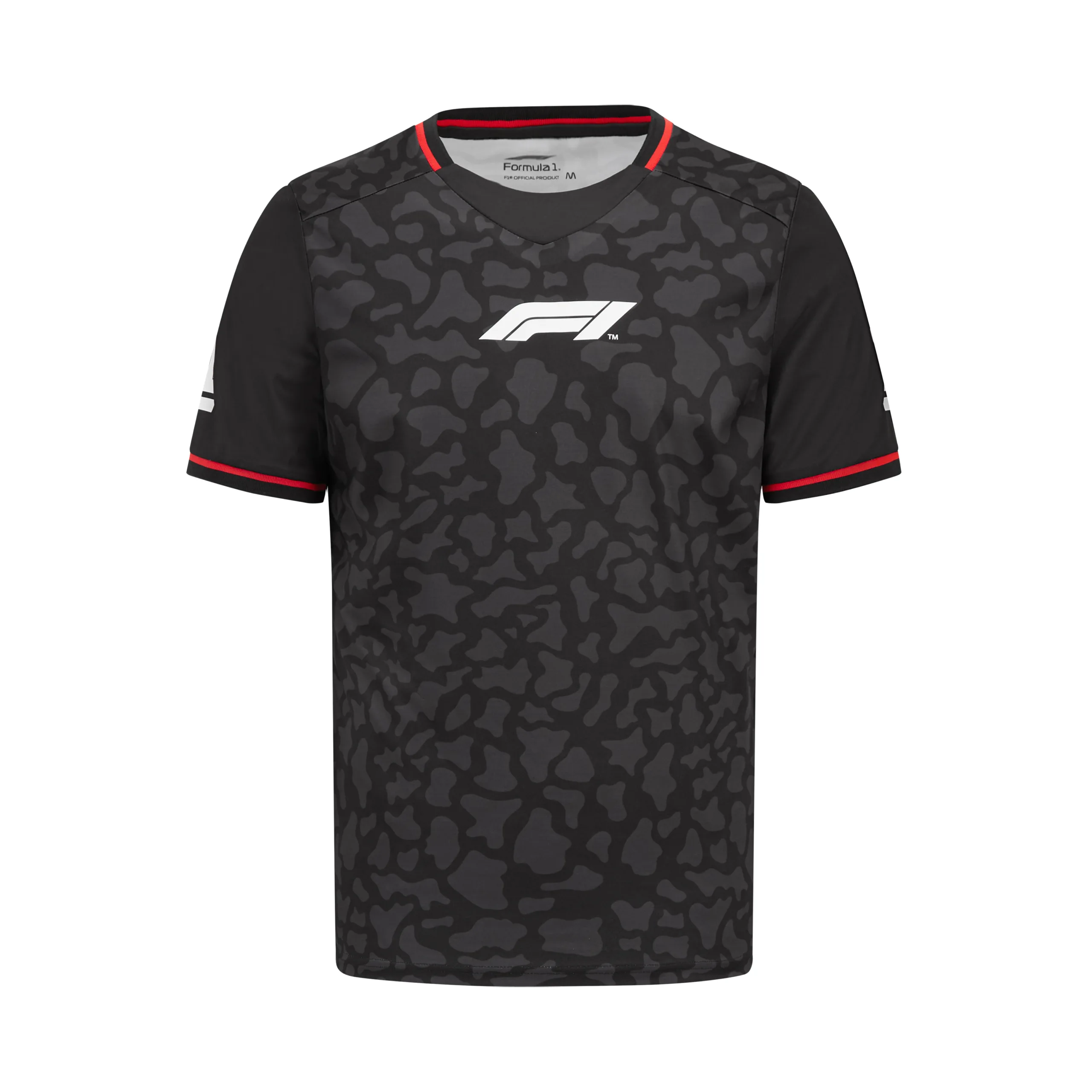 تیشرت فرمول 1 F1 FW CAMO SPORTS TEE